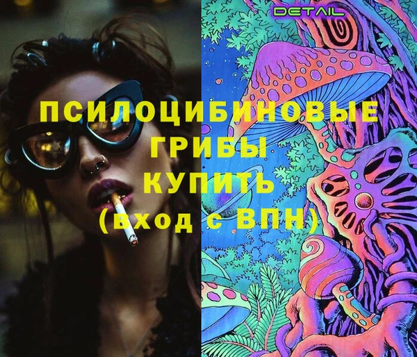 гашик Володарск